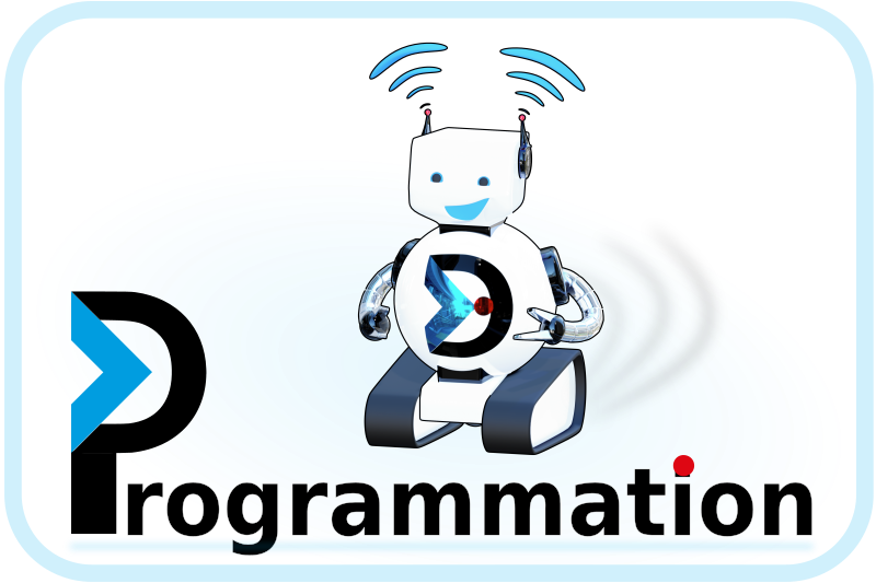 Programmation - logo DANE Nancy-Metz bluebot