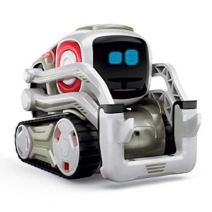 EBEP : robot Cozmo du projet Rob-Autism DANE Nancy-Metz ebep