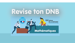 BRNE Maths 3e : réviser le DNB DANE Nancy-Metz brne