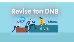 DANE Nancy-Metz brne svt 3e : mode d'emploi d'utilisation des modules "révise ton dnb"